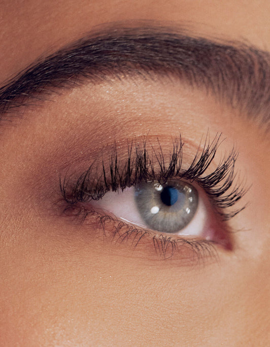 Lash & Brow Trial Kit
